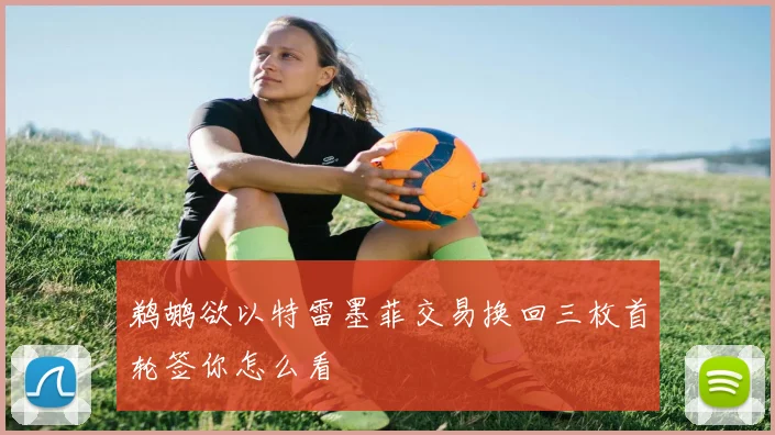 鹈鹕欲以特雷墨菲交易换回三枚首轮签你怎么看